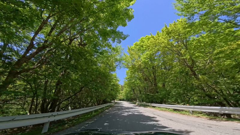遠笠山道路